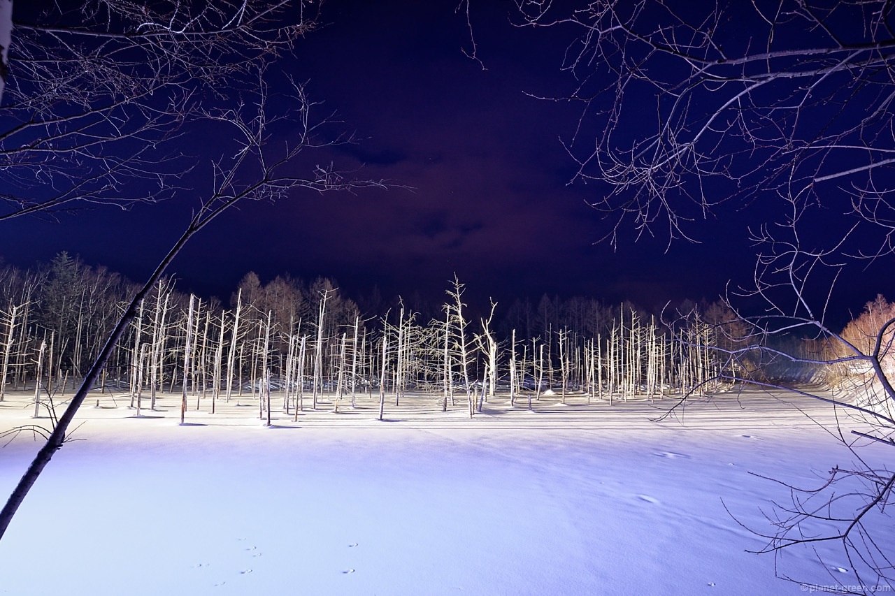 冬の美瑛・青い池のライトアップ