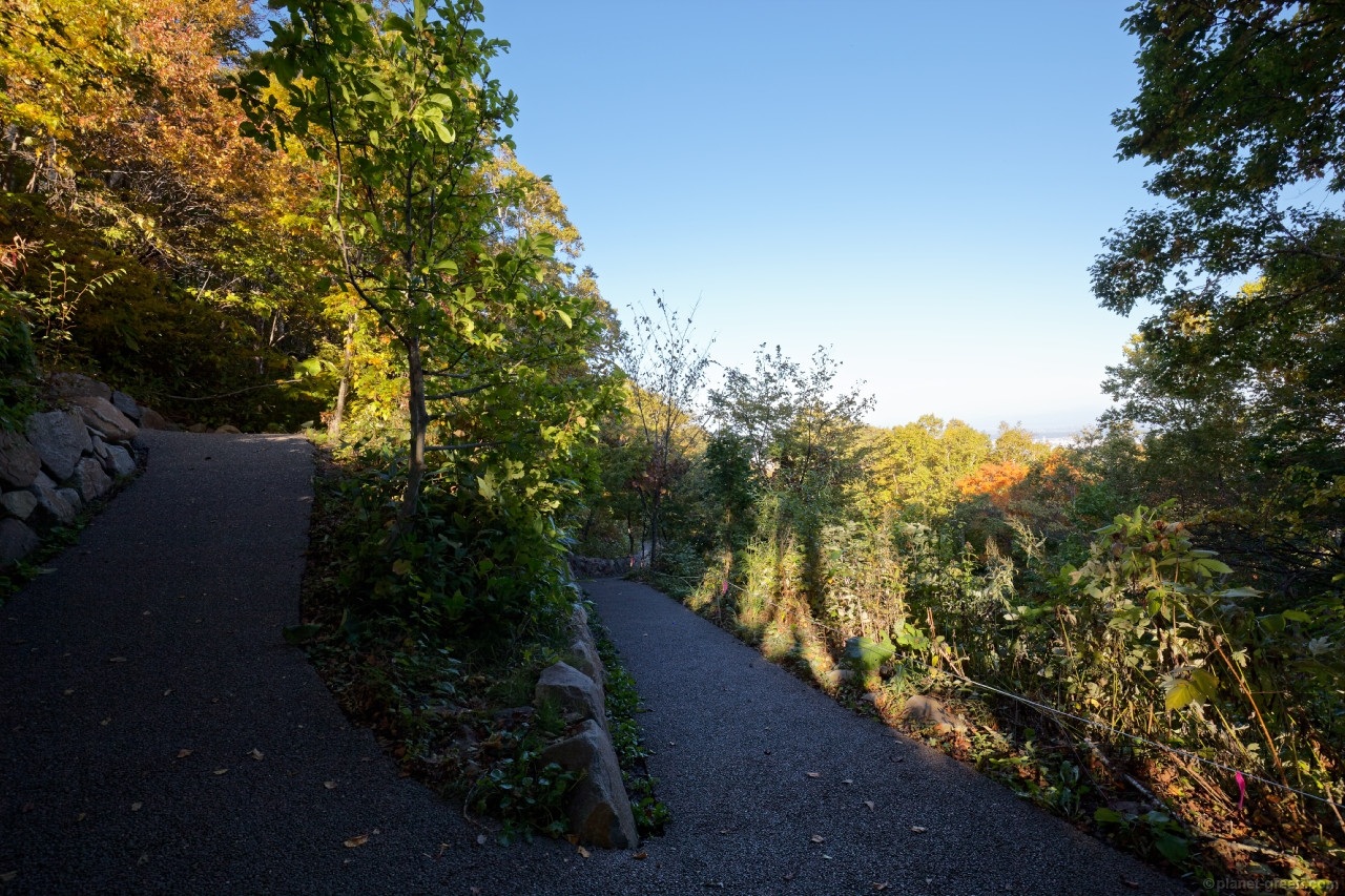 札幌市・藻岩山の自然学習歩道と呼ばれる舗装された登山道