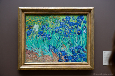 Irises / Vincent van Gogh フィンセント・ファン・ゴッホ《アイリス》1889