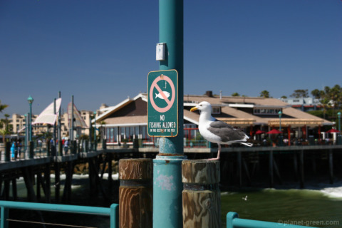 Redondo Beach（レドンドビーチ）