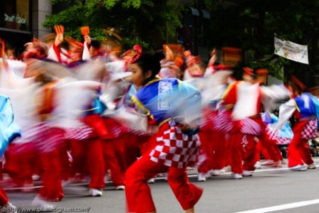YOSAKOIソーラン祭り(2008年)