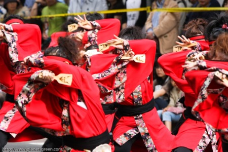 YOSAKOIソーラン祭り(2008年)